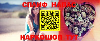 прущие крисы Заводоуковск