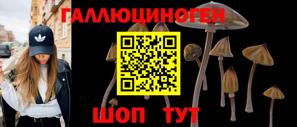 Мытищи  Псилоцибиновые грибы мухоморы  Галлюциногенные грибы Cubensis  Вход с VPN 