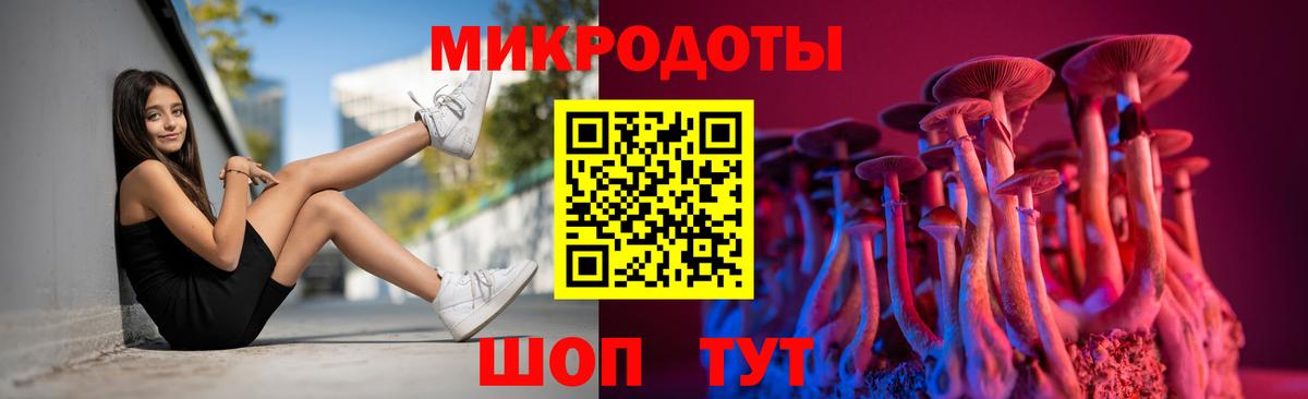 Галлюциногенные грибы Psilocybine cubensis Мытищи